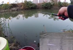 农村野钓视频,捕捉自然之美，享受宁静时光